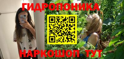 кокс Гусев
