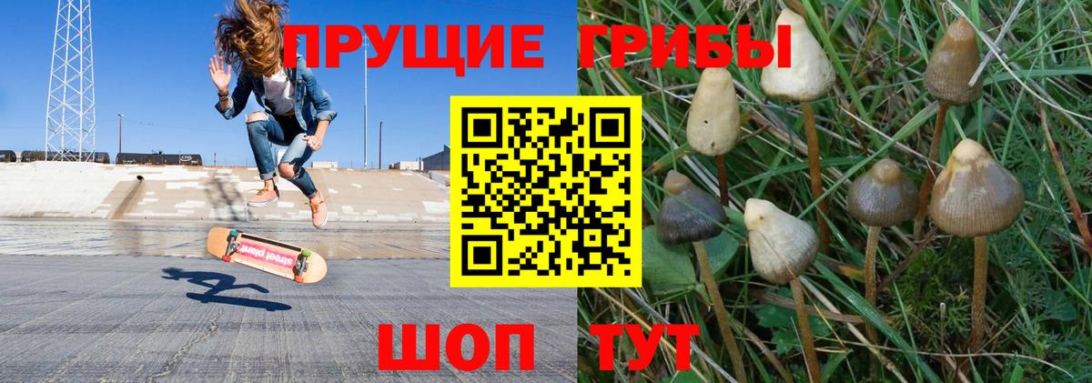 Галлюциногенные грибы Magic Shrooms Нижний Тагил