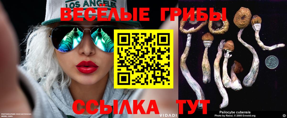 Псилоцибиновые грибы мицелий  Вход с VPN  Нижний Тагил 